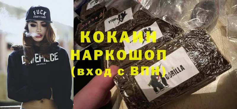 Cocaine Боливия Бологое